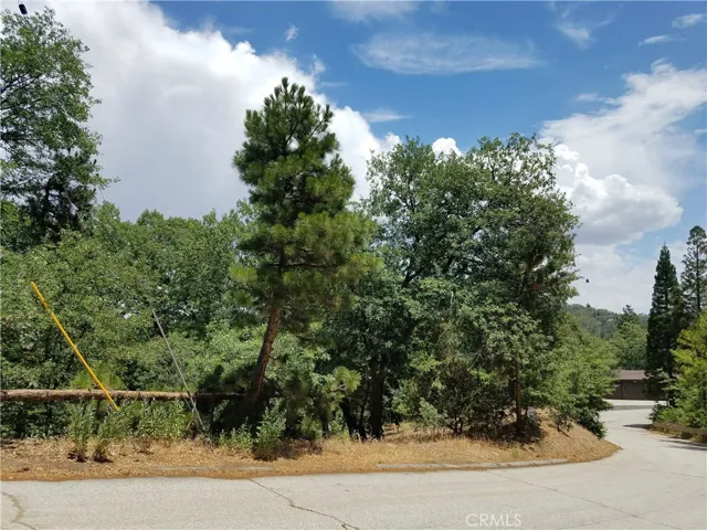 28310 Bern Lane, Lake Arrowhead, California 92352