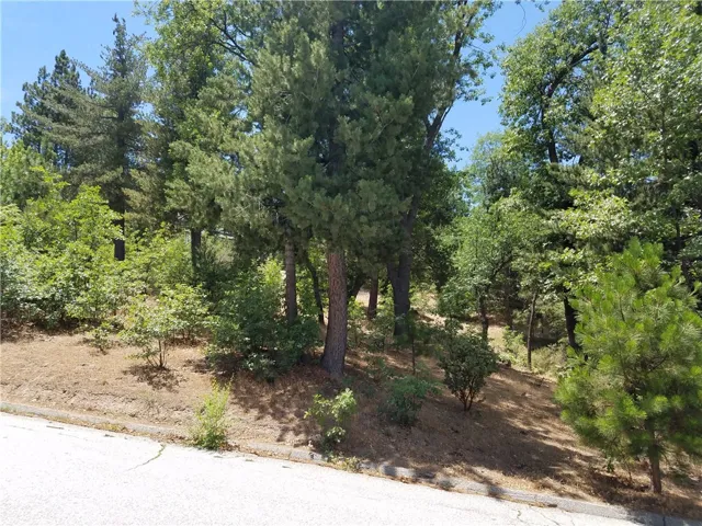 28310 Bern Lane, Lake Arrowhead, California 92352