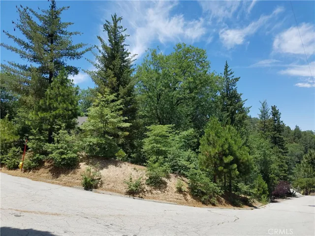 28310 Bern Lane, Lake Arrowhead, California 92352