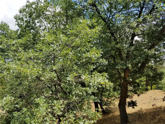 28310 Bern Lane, Lake Arrowhead, California 92352