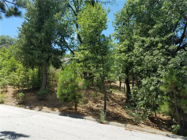 28310 Bern Lane, Lake Arrowhead, California 92352