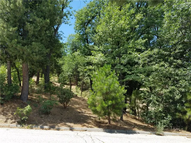 28310 Bern Lane, Lake Arrowhead, California 92352