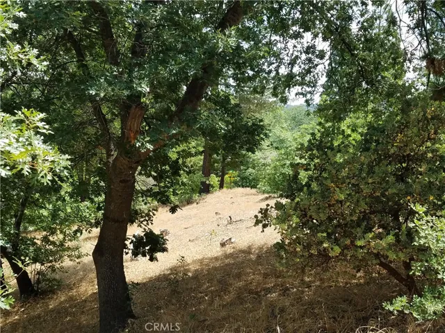 28310 Bern Lane, Lake Arrowhead, California 92352