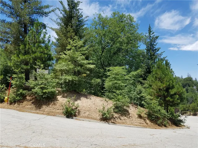 28310 Bern Lane, Lake Arrowhead, California 92352