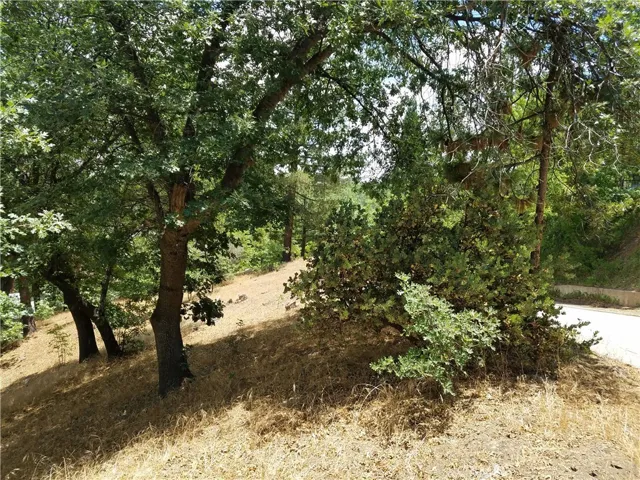 28310 Bern Lane, Lake Arrowhead, California 92352