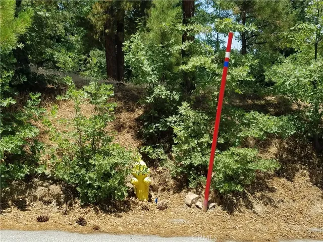 28310 Bern Lane, Lake Arrowhead, California 92352