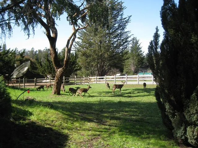 284 Brooktree Ranch Road, Aptos, California 95003