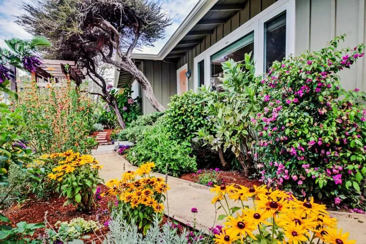 218 Buena Vista Avenue, Santa Cruz, California 95062