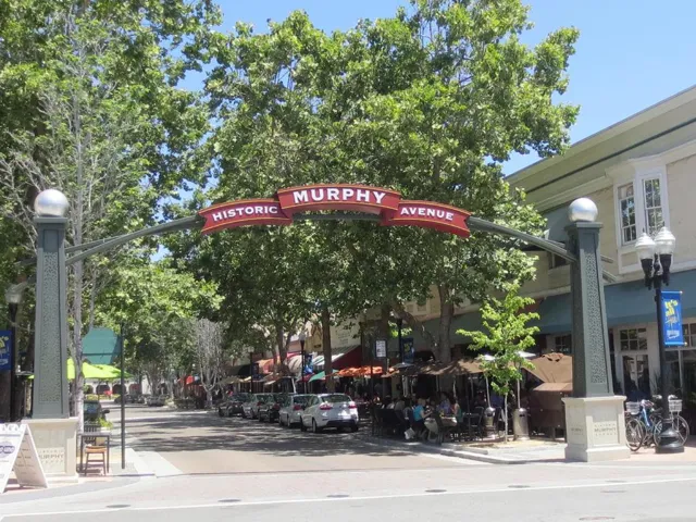 461 S Frances Street, Sunnyvale, California 94086