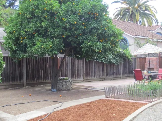 461 S Frances Street, Sunnyvale, California 94086
