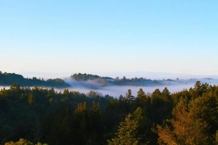 540 Olaughlin Road, Santa Cruz, California 95065