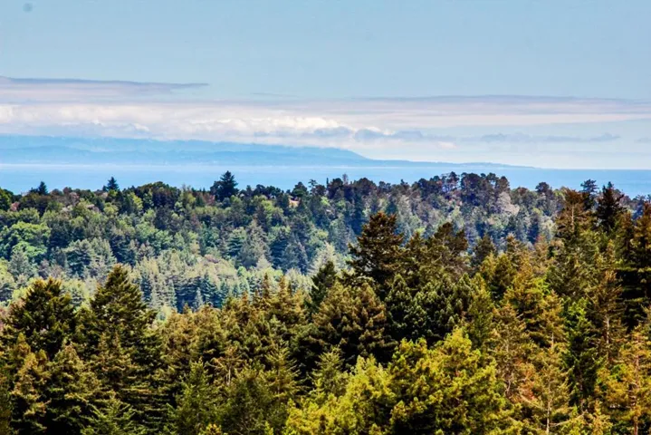 540 Olaughlin Road, Santa Cruz, California 95065