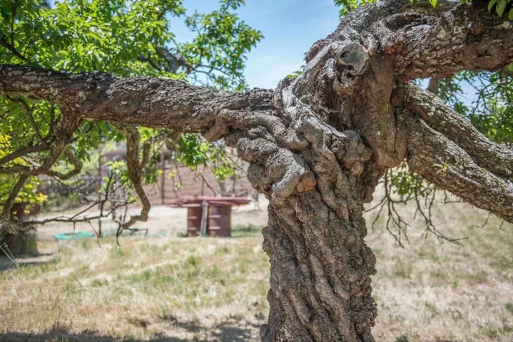 0 Santa Lucia Ranch, Parcels B & C, Highway 1