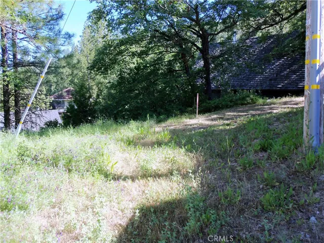 34 Marina View Drive, Bass Lake, California 93604