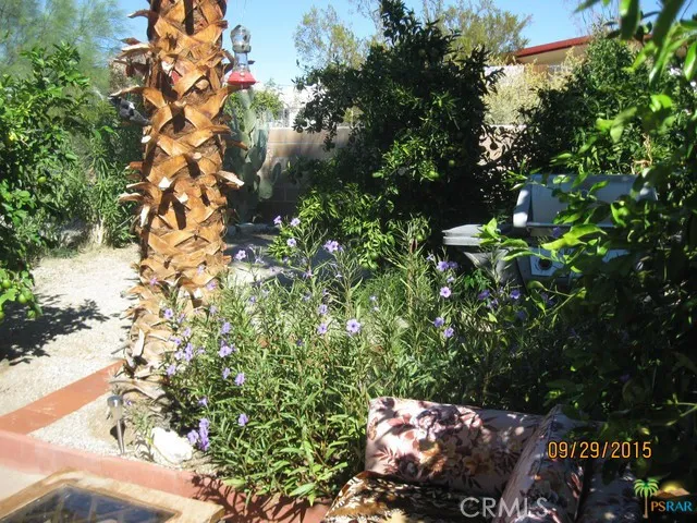 Additional Photo