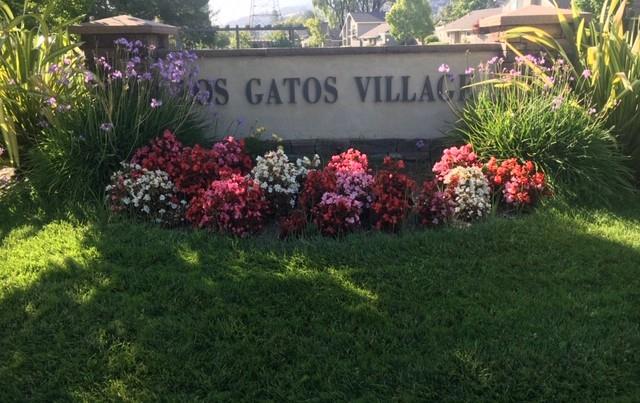 119 Escobar Avenue, Los Gatos, California 95032 home-pic-0