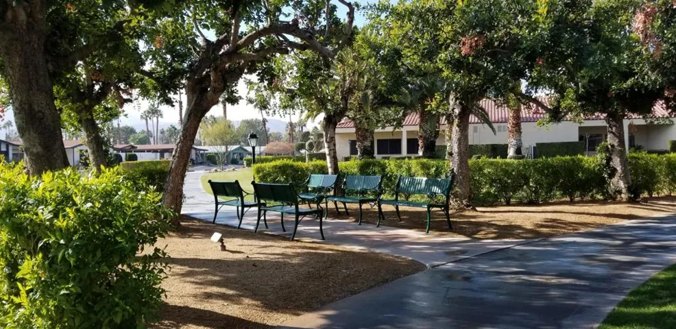 MLS The Canyon 1