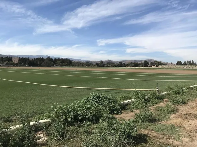 0 Palm, Morgan Hill, California 95037