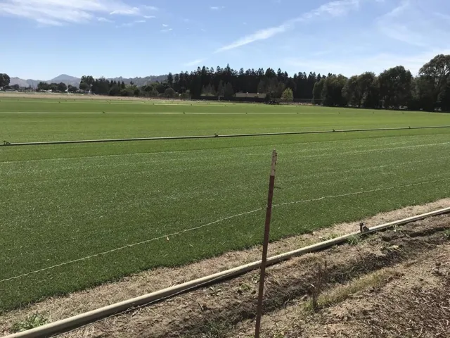 0 Palm, Morgan Hill, California 95037
