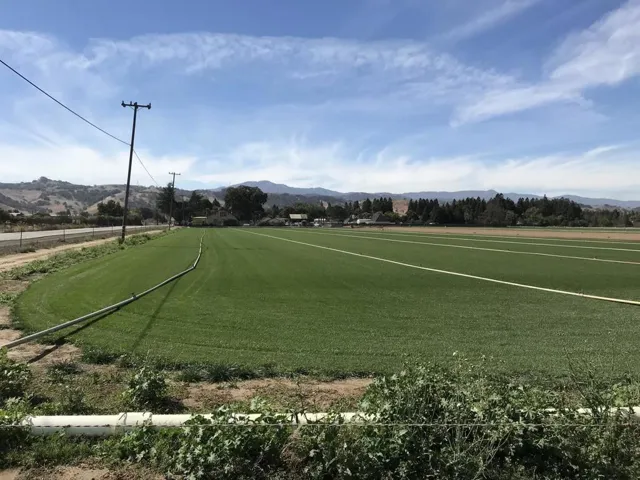 0 Palm, Morgan Hill, California 95037