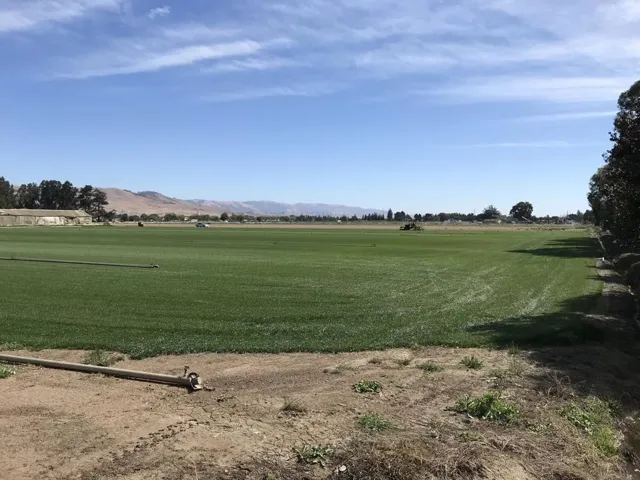 0 Palm, Morgan Hill, California 95037