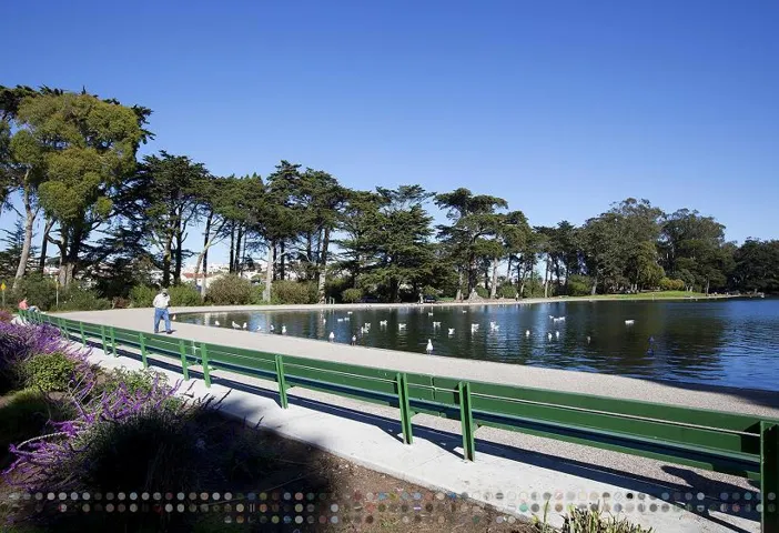 659 26th Avenue, San Francisco, California 94121