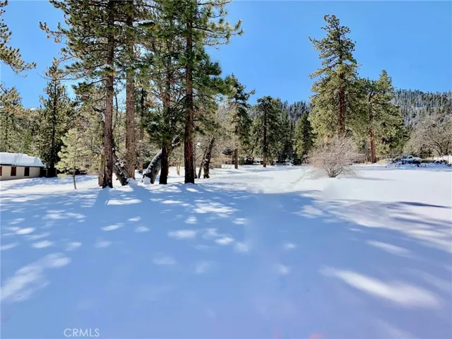 42323 Switzerland Road, Big Bear, California 92315