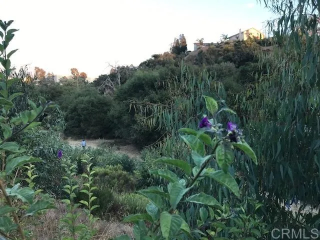 1589 Green Oak Rd, Vista, California 92081