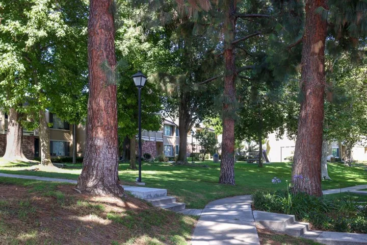 common 2