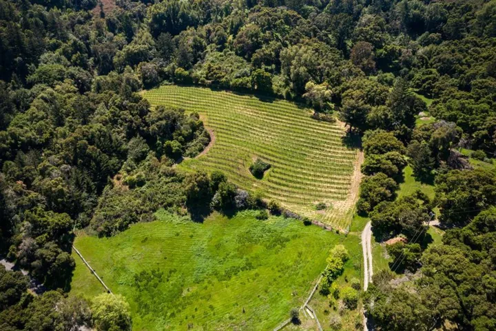 5660 Alpine Road, Portola Valley, California 94028