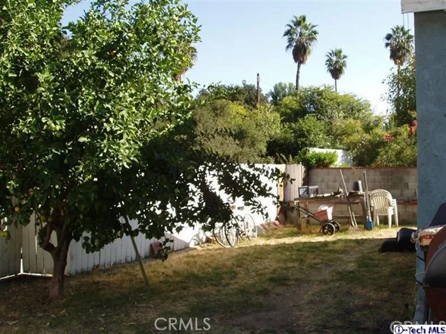 Also a view of some of the backyard.