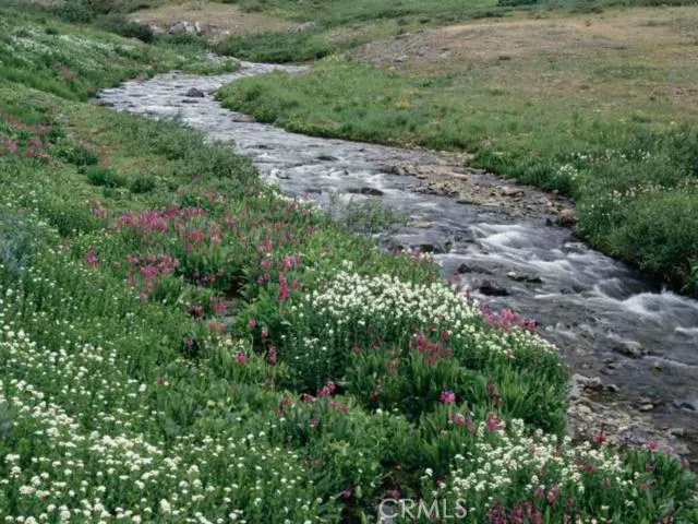 Aliso Creek in the Spring