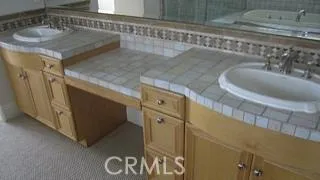 MASTER BATH SINKS