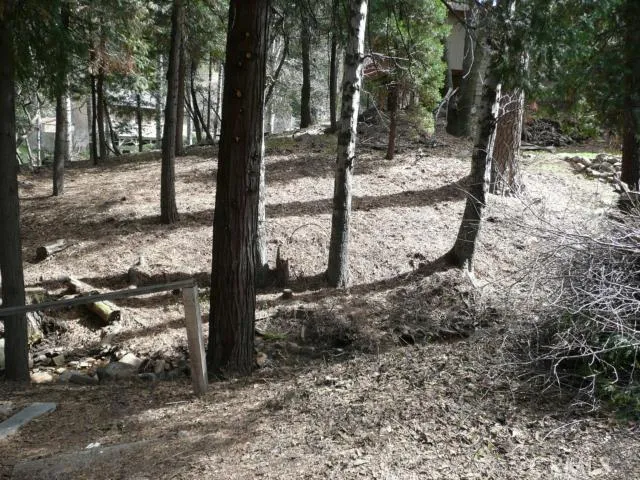 0 Po Box 6 Dart Canyon Road, Crestline, California 92325