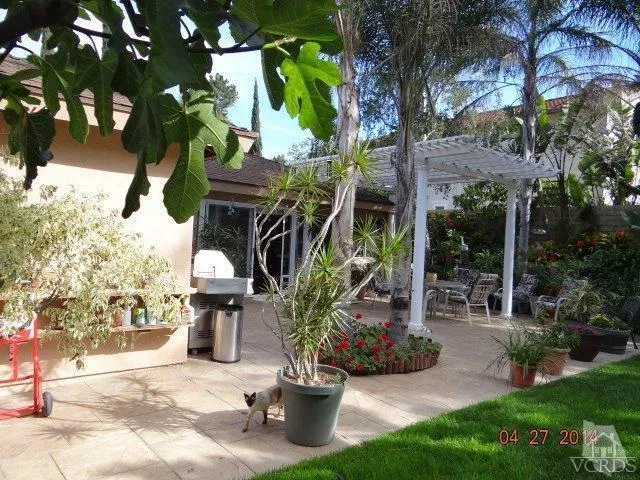 Additional Photo
