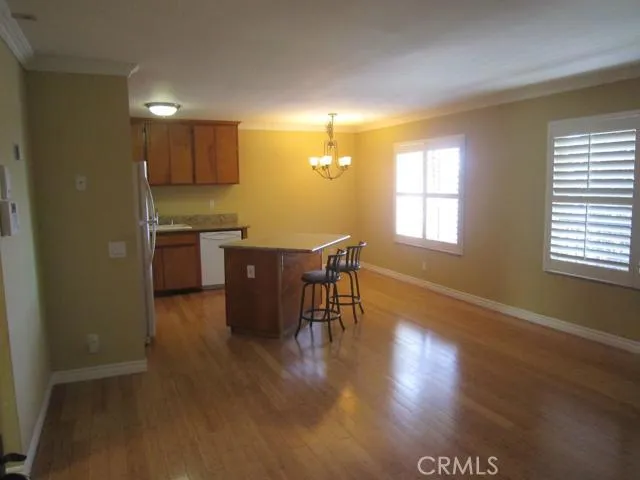 Large Open Living Room and Kitchen