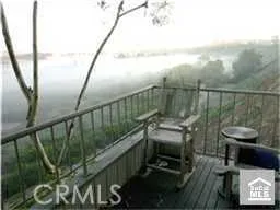 Park view with mist