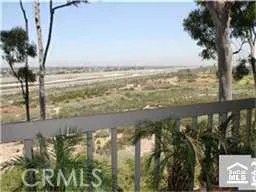 Park View from Decks