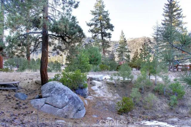 579 Cove Drive, Big Bear, California 92315