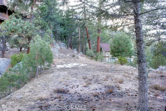 579 Cove Drive, Big Bear, California 92315