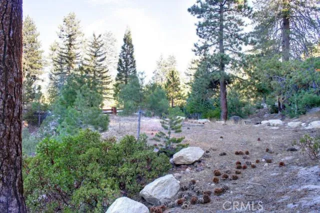 579 Cove Drive, Big Bear, California 92315