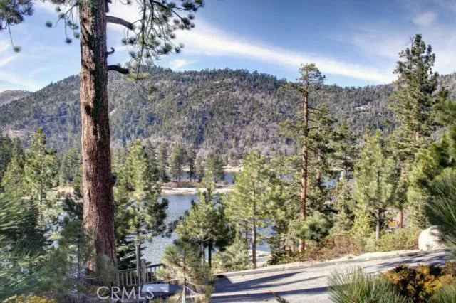 579 Cove Drive, Big Bear, California 92315