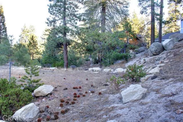 579 Cove Drive, Big Bear, California 92315