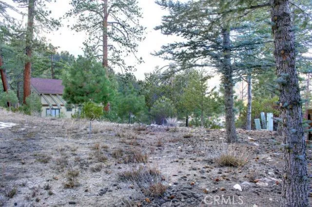 579 Cove Drive, Big Bear, California 92315