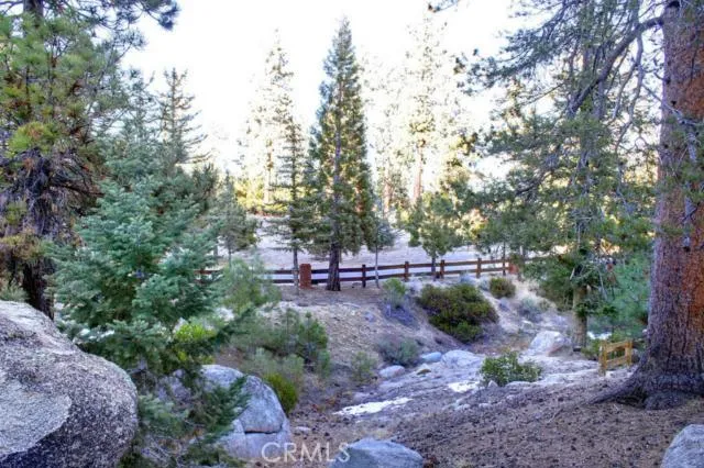 579 Cove Drive, Big Bear, California 92315