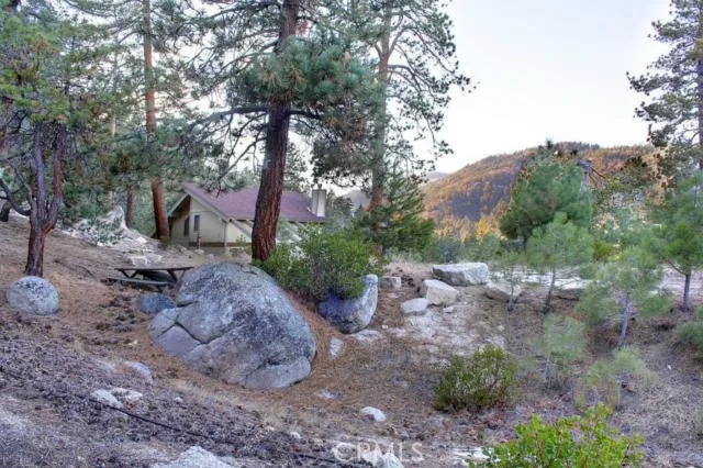 579 Cove Drive, Big Bear, California 92315