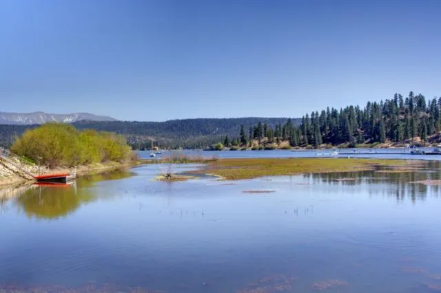 39469 North Shore Drive, Fawnskin, California 92333