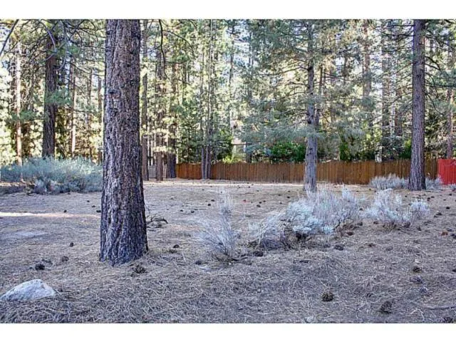 42055 Winter Park Drive, Big Bear, California 92315