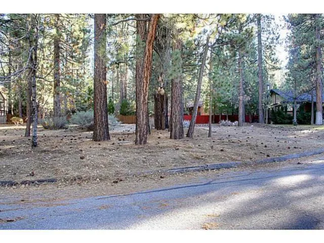 42055 Winter Park Drive, Big Bear, California 92315
