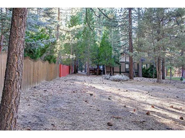 42055 Winter Park Drive, Big Bear, California 92315